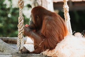 IMG_4654