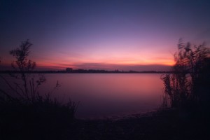 IMG_6786