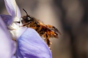 IMG_4567