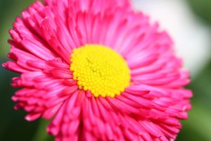 IMG_8589